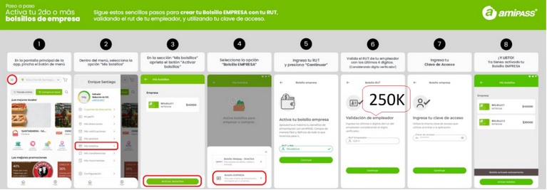 Guía visual Amipass
